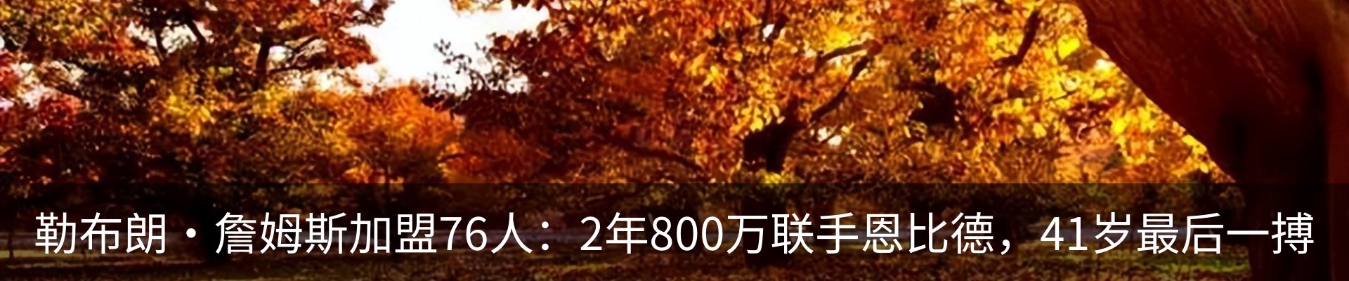 内页banner
