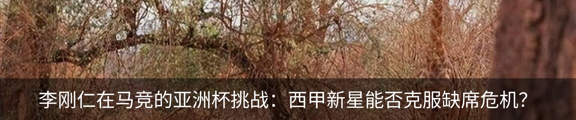内页banner